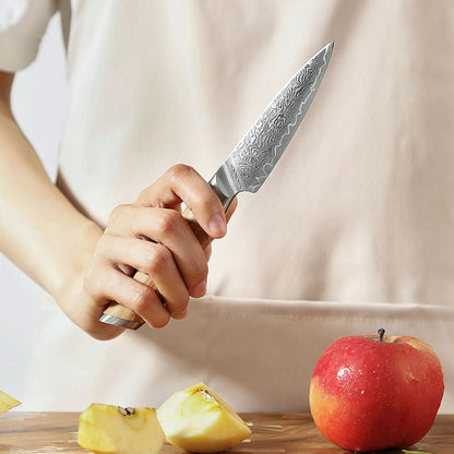 XINZUO Lan Series 73 Layers Damascus Powder Steel 3.5 inchs Paring Knife