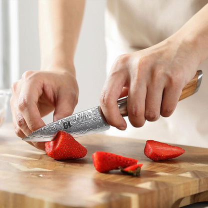 XINZUO Lan Series 73 Layers Damascus Powder Steel 3.5 inchs Paring Knife