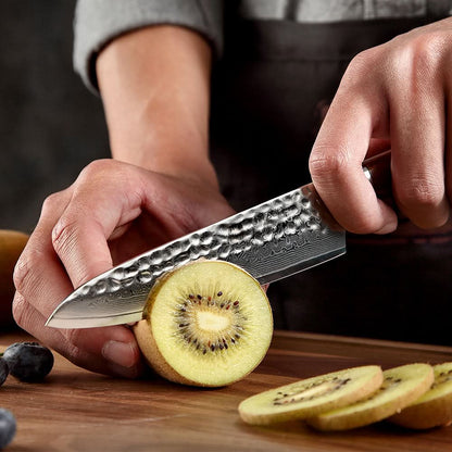 XINZUO YU STRIA HAMMER DAMASCUS 5" Utility Knife