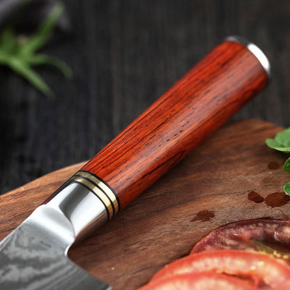 XINZUO HE DAMASCUS SERIES 6PCS Kitchen Knife Set