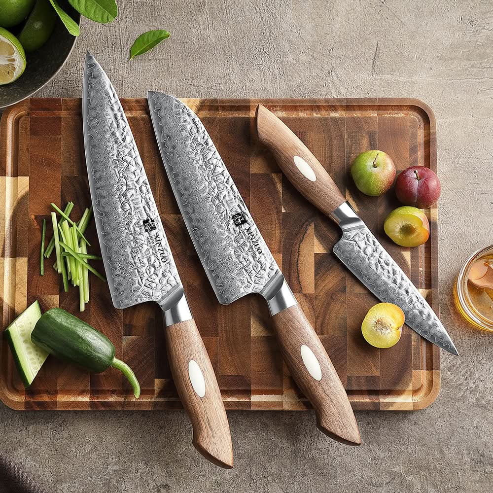 XINZUO 3-Piece  67 Layers Japanese AUS-10 Damascus Steel Kitchen Knife Set-Jiang Series