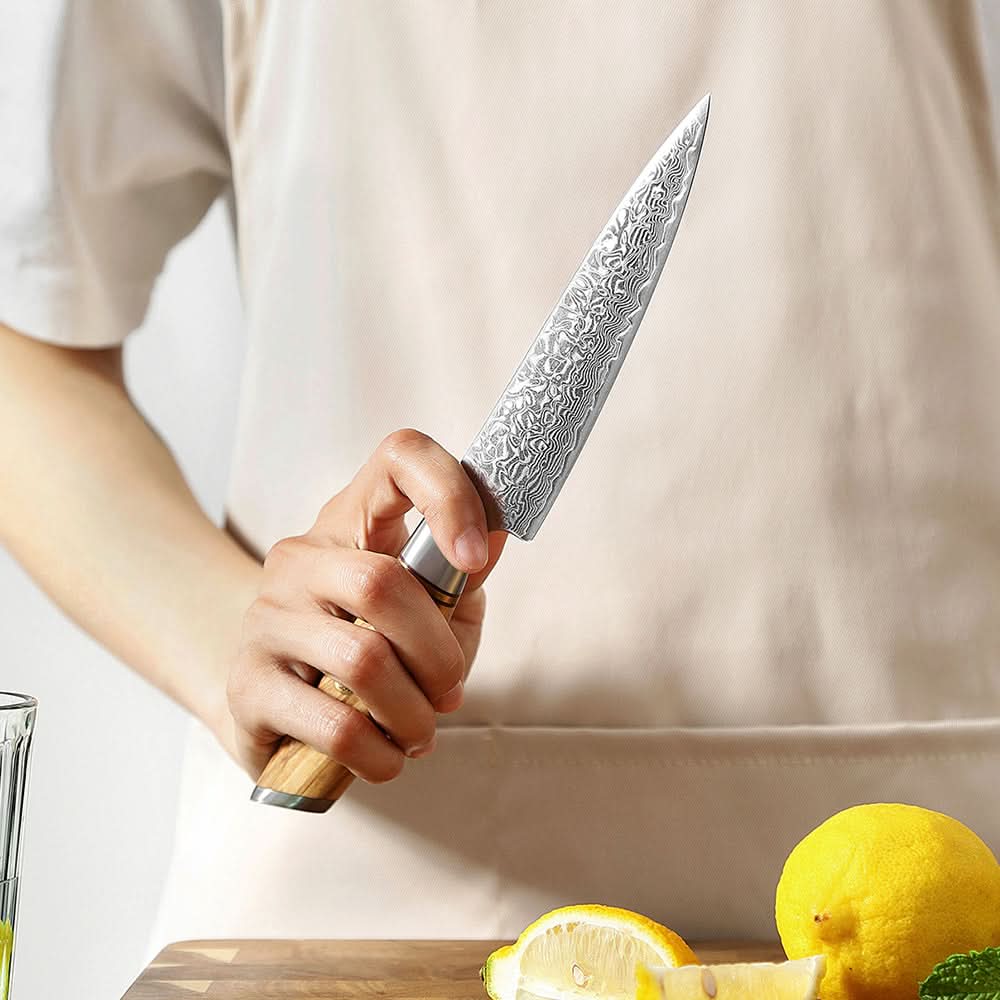 XINZUO Lan Series 73 Layers Damascus Powder Steel 2PCS Knife Set,62-64HRC