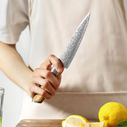 XINZUO Lan Series 73 Layers Damascus Powder Steel 2PCS Knife Set,62-64HRC