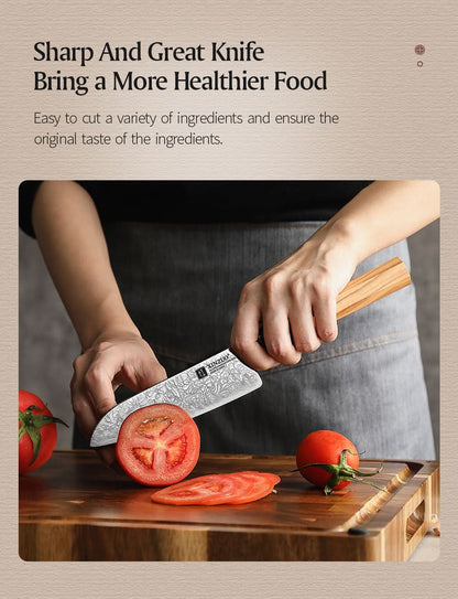 XINZUO PM8  Series 67 Layers Damascus Powder Santoku Knife 5.5 inches