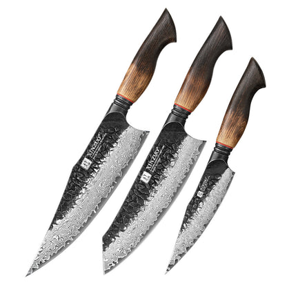 XINZUO 3-Piece Knife Set, 67 Layers Black Damascus Steel Chef Knife/Santoku Knife/Kitchen Utility Knife with  Burnt Oak Handle MO-Series